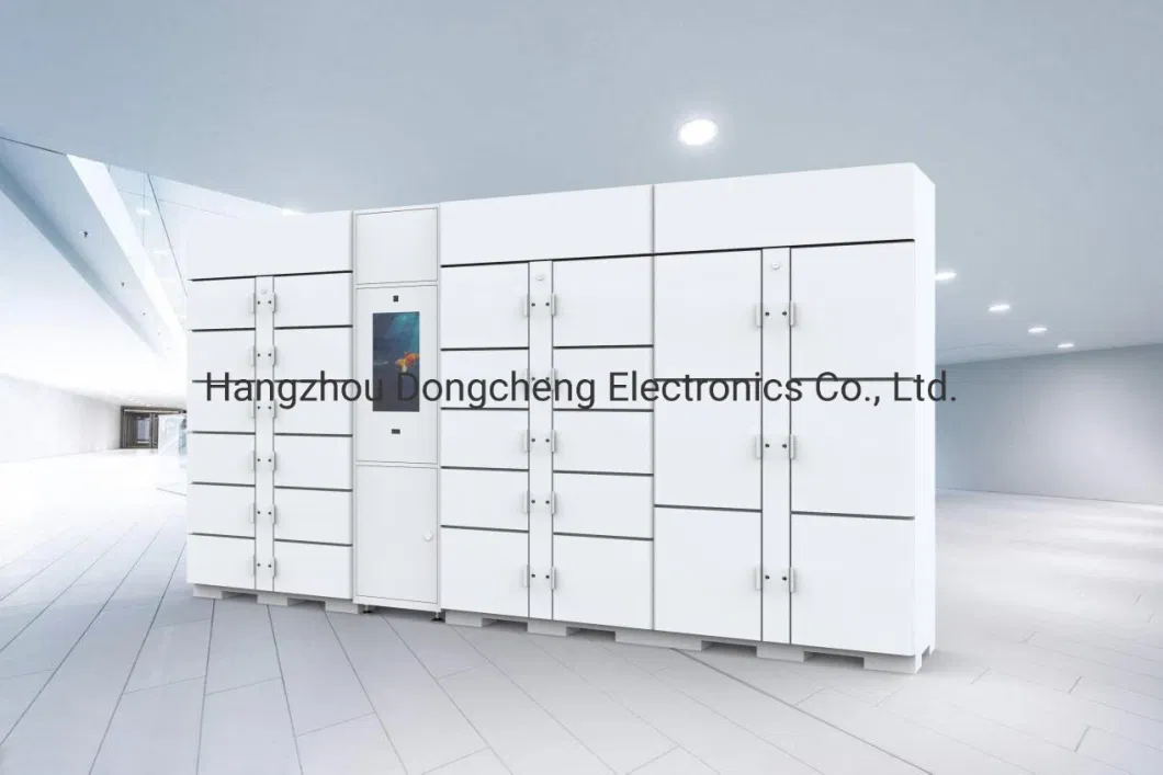 Customized Cold Rolled Steel DC Plywood Case Refrigerated Food Lockers Locker