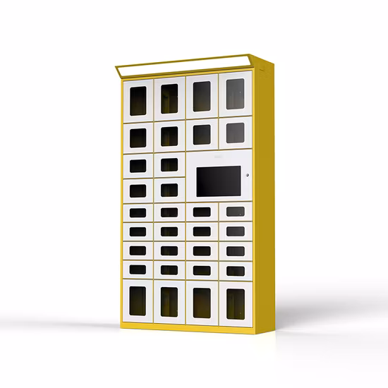 Customized Cold Rolled Steel DC Plywood Case Refrigerated Food Lockers Locker